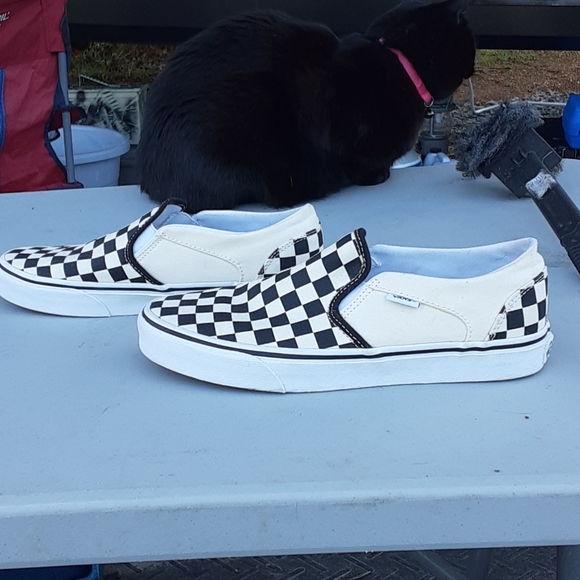 Shoes - Picture 2 of 6